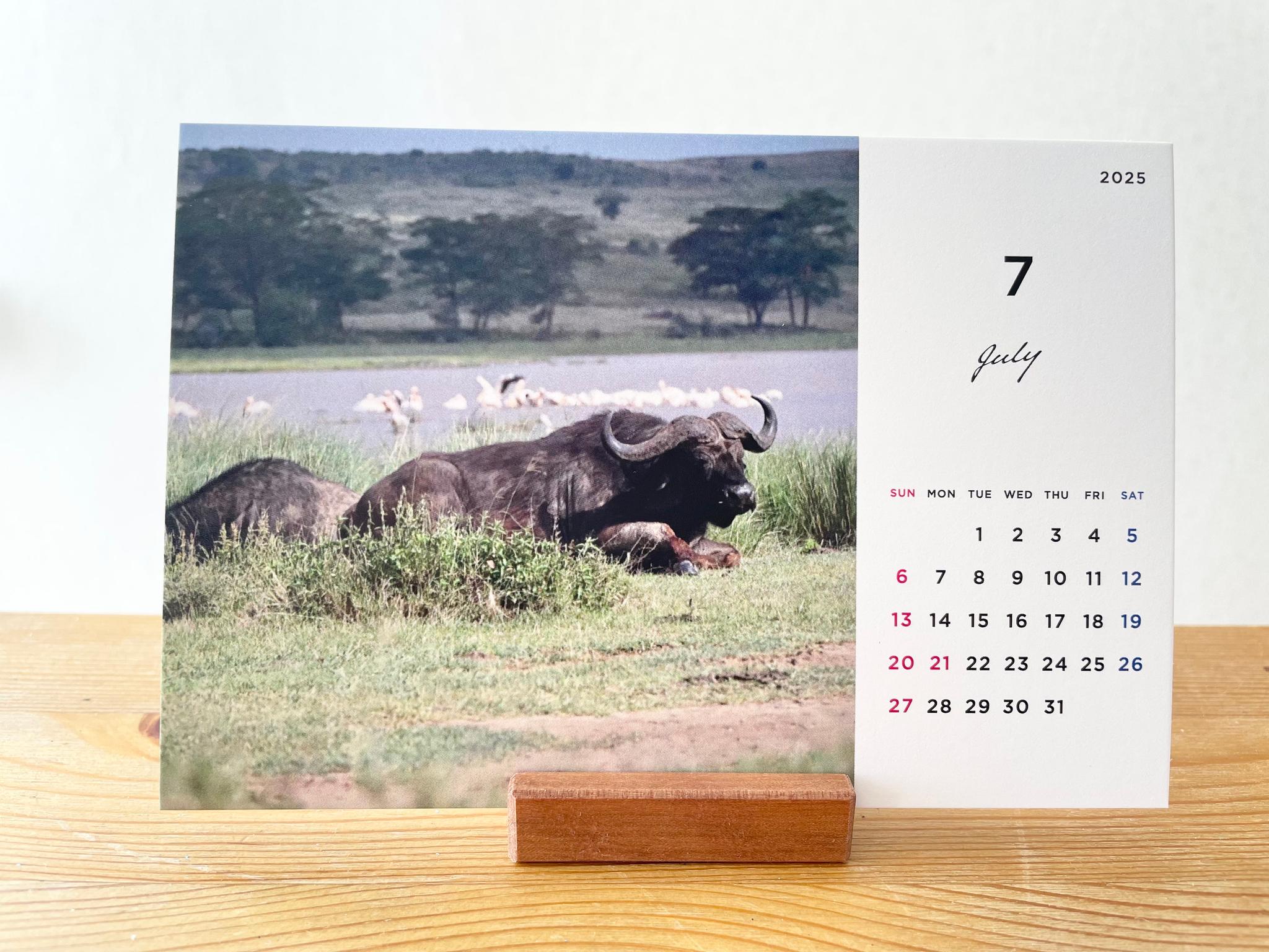 ケニアの卓上カレンダー、ケニアの景色と動物カレンダー、ケニアのアニマルカレンダー、ケニア、アフリカ | 10枚目