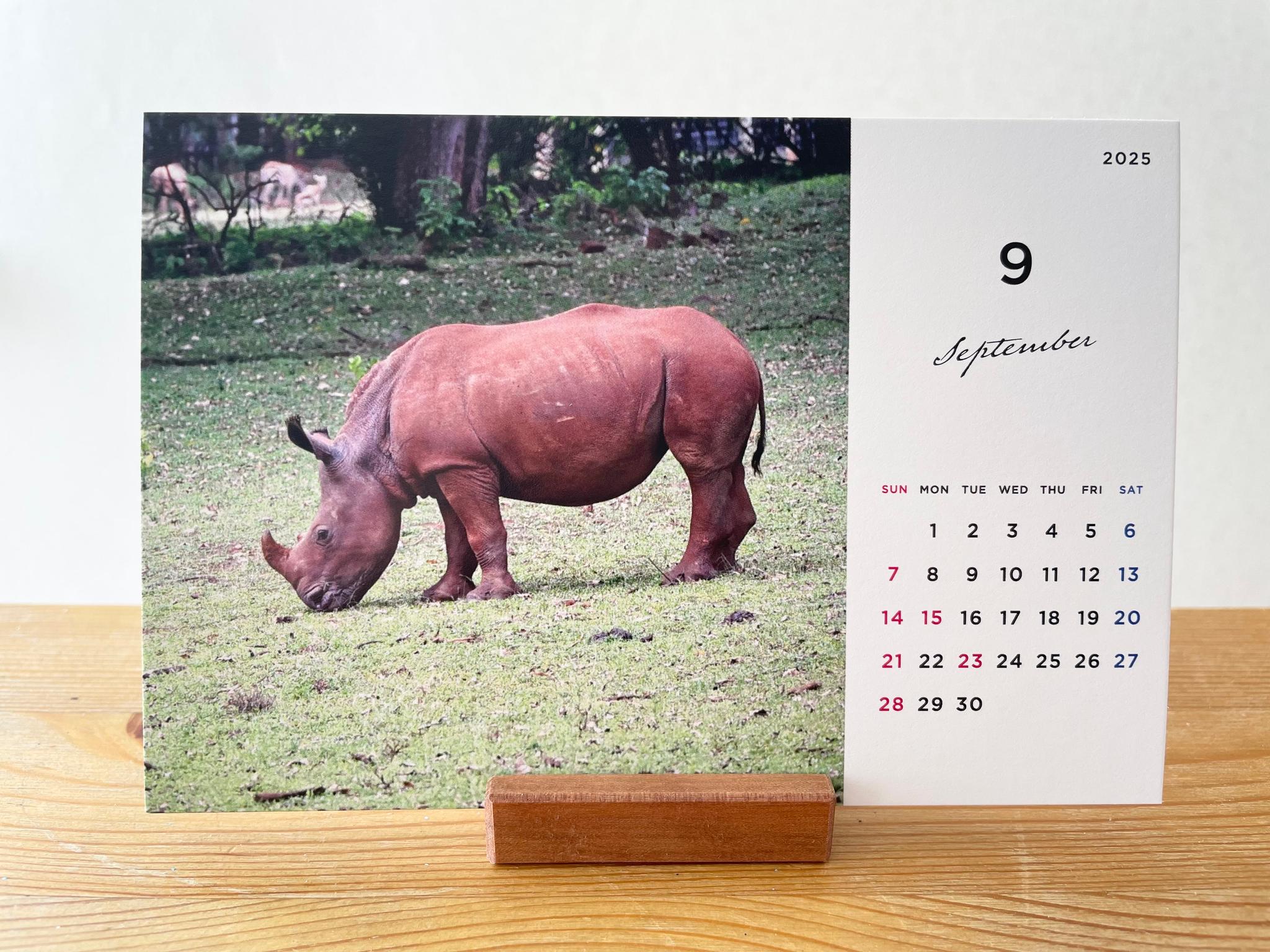 ケニアの卓上カレンダー、ケニアの景色と動物カレンダー、ケニアのアニマルカレンダー、ケニア、アフリカ | 12枚目