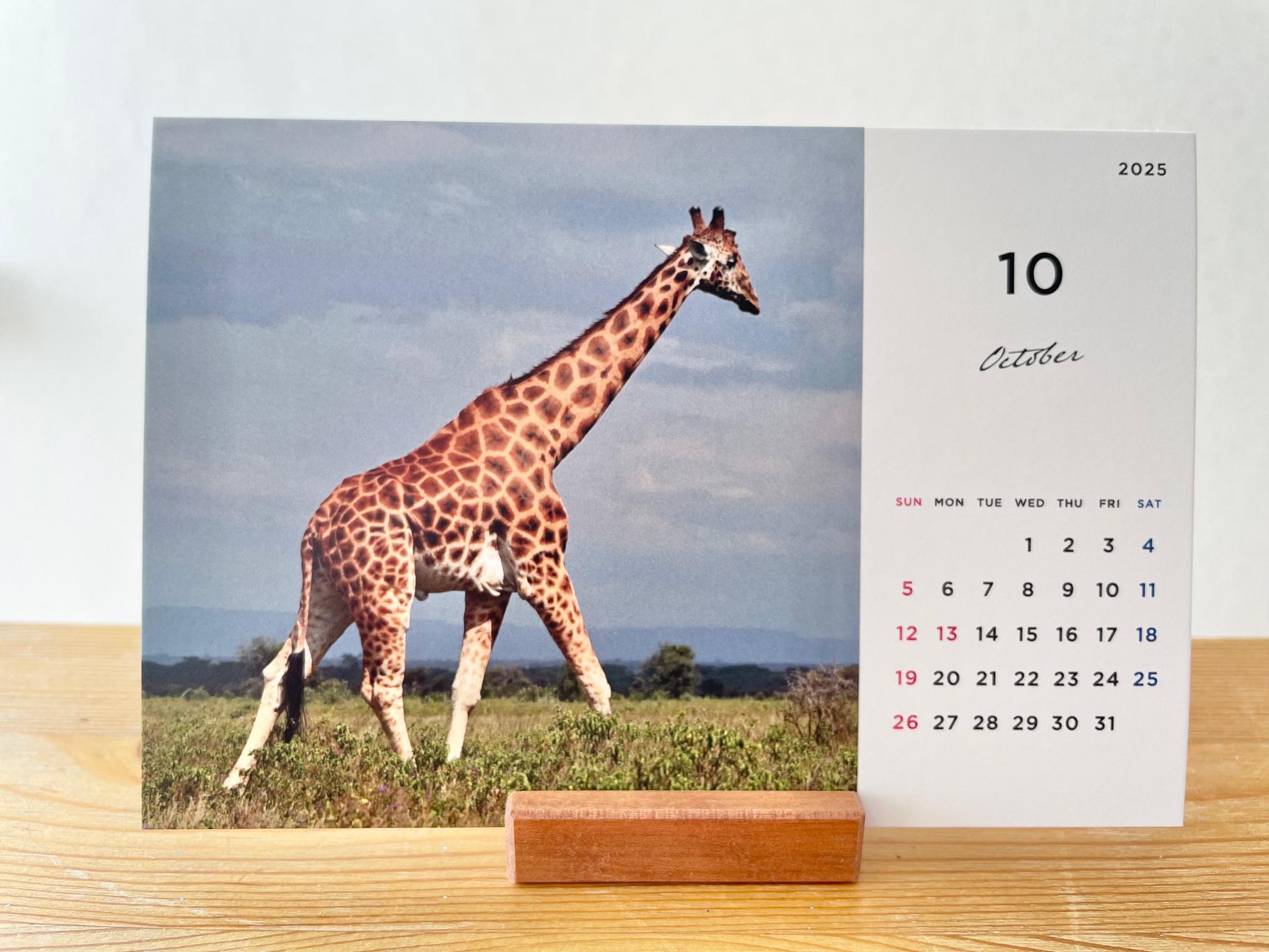 ケニアの卓上カレンダー、ケニアの景色と動物カレンダー、ケニアのアニマルカレンダー、ケニア、アフリカ | 13枚目