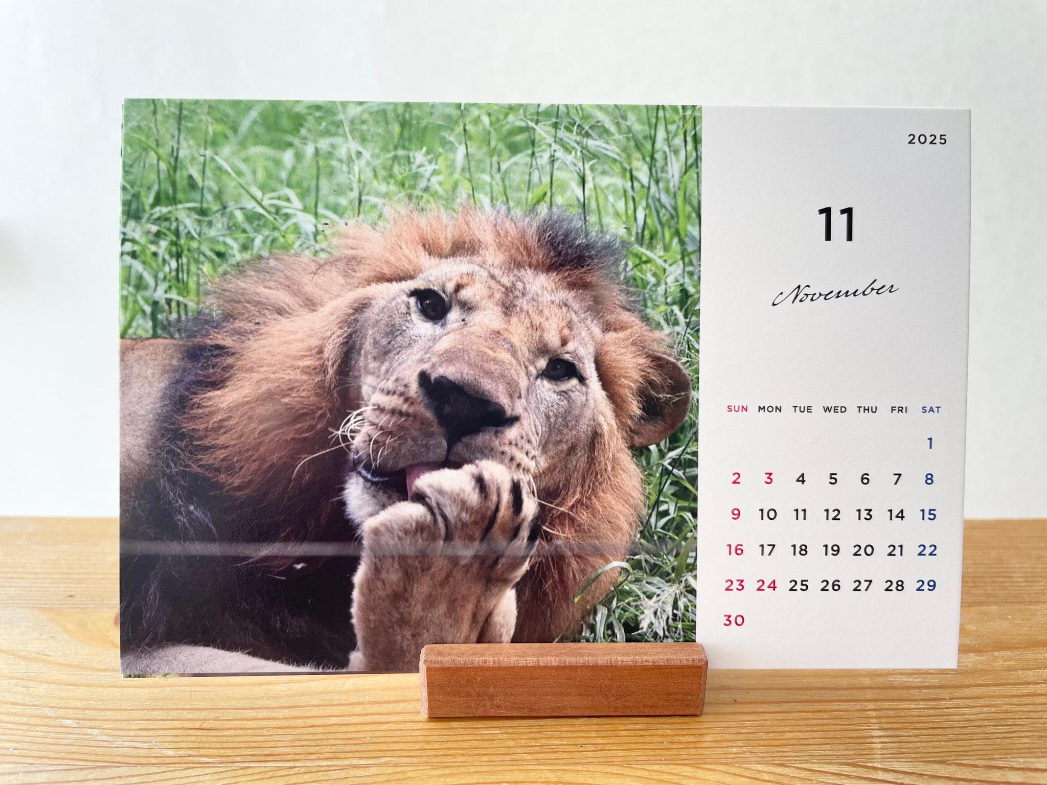 ケニアの卓上カレンダー、ケニアの景色と動物カレンダー、ケニアのアニマルカレンダー、ケニア、アフリカ | 14枚目