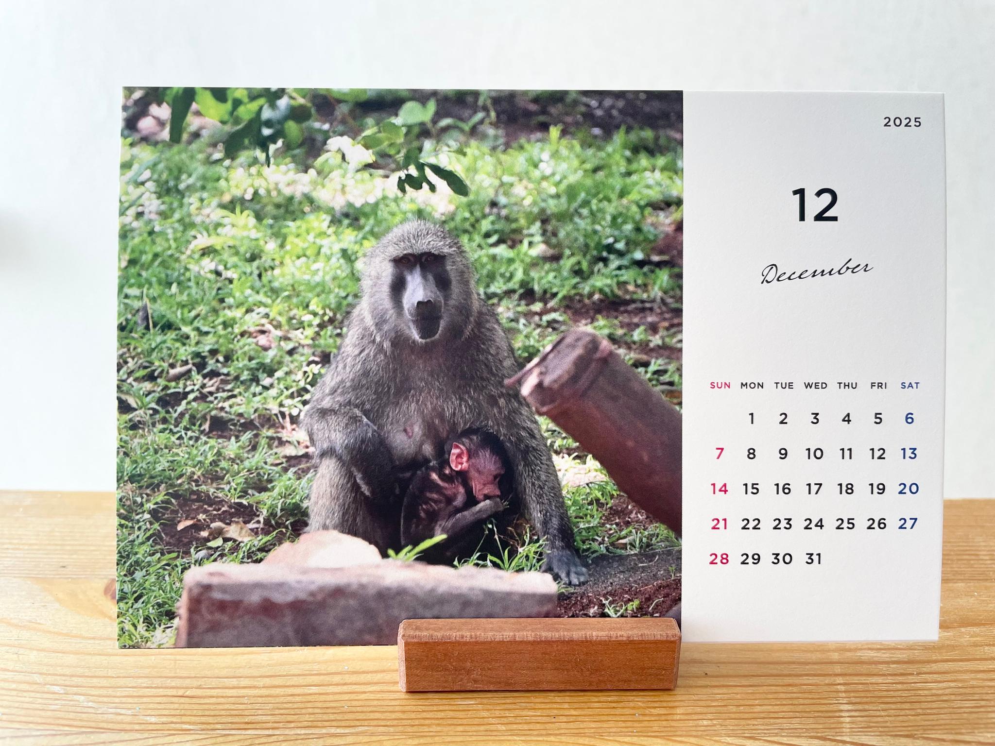 ケニアの卓上カレンダー、ケニアの景色と動物カレンダー、ケニアのアニマルカレンダー、ケニア、アフリカ | 15枚目