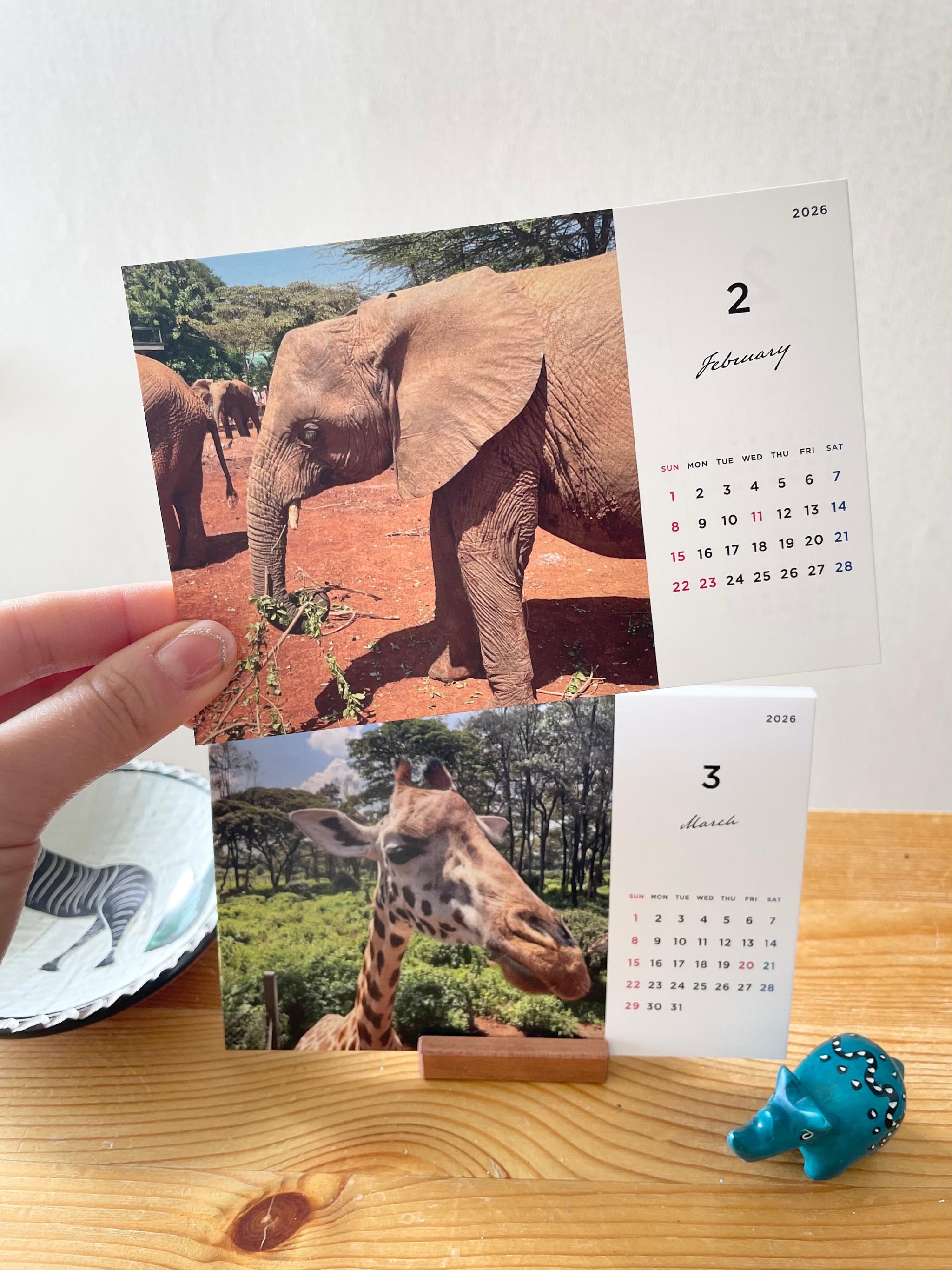 ケニアの卓上カレンダー、ケニアの景色と動物カレンダー、ケニアのアニマルカレンダー、ケニア、アフリカ | 2枚目