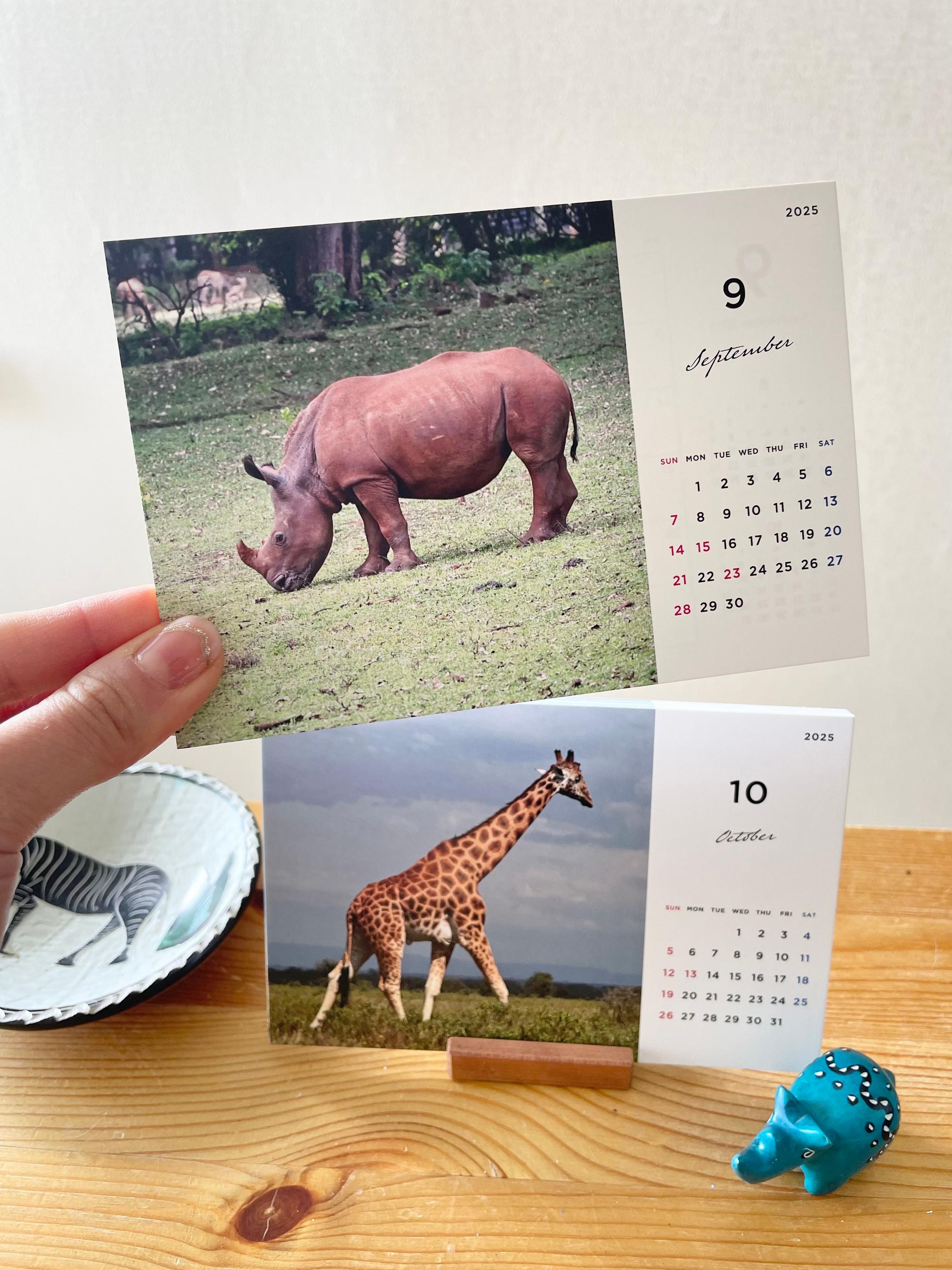 ケニアの卓上カレンダー、ケニアの景色と動物カレンダー、ケニアのアニマルカレンダー、ケニア、アフリカ | 3枚目