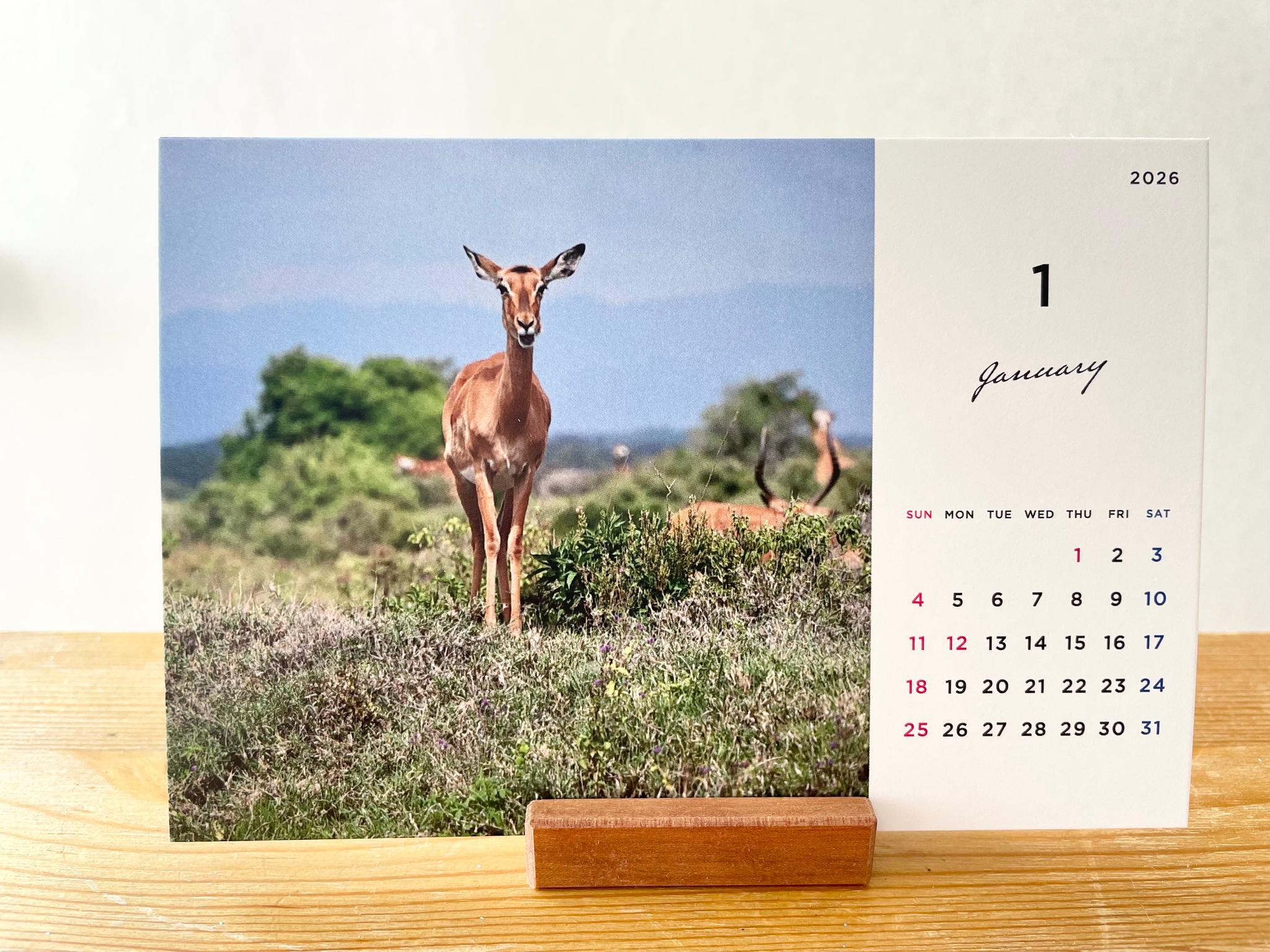 ケニアの卓上カレンダー、ケニアの景色と動物カレンダー、ケニアのアニマルカレンダー、ケニア、アフリカ | 4枚目