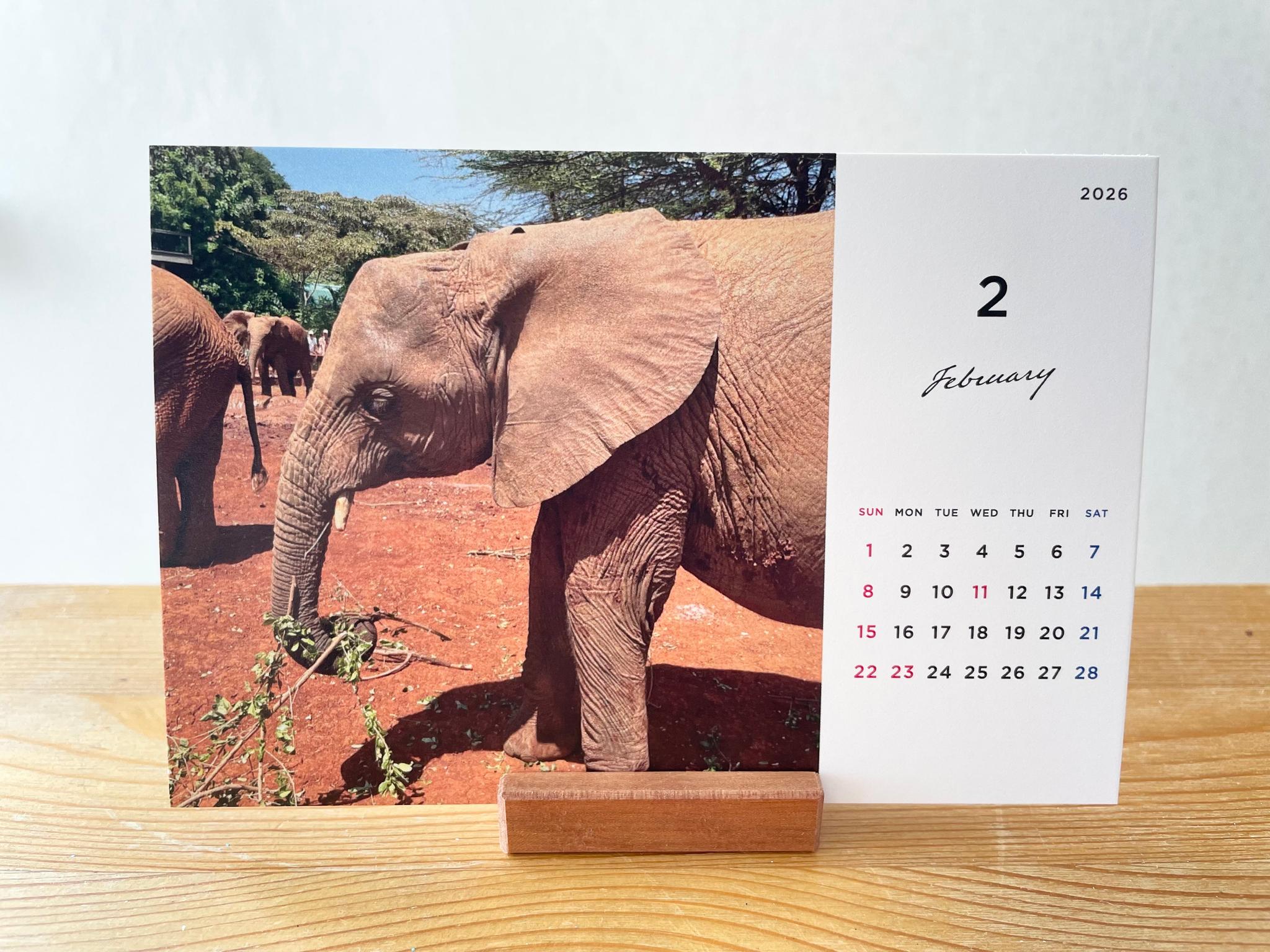ケニアの卓上カレンダー、ケニアの景色と動物カレンダー、ケニアのアニマルカレンダー、ケニア、アフリカ | 5枚目