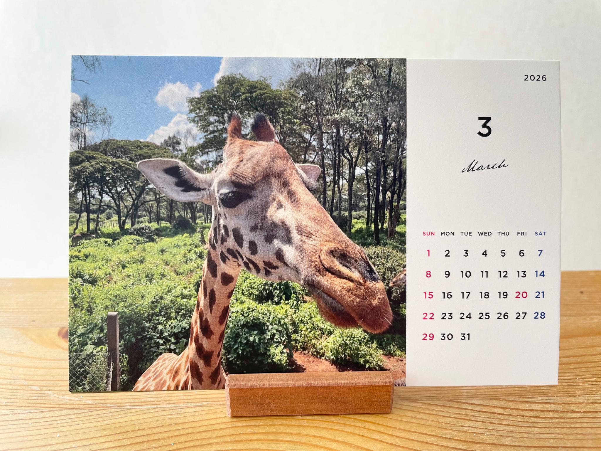 ケニアの卓上カレンダー、ケニアの景色と動物カレンダー、ケニアのアニマルカレンダー、ケニア、アフリカ | 6枚目