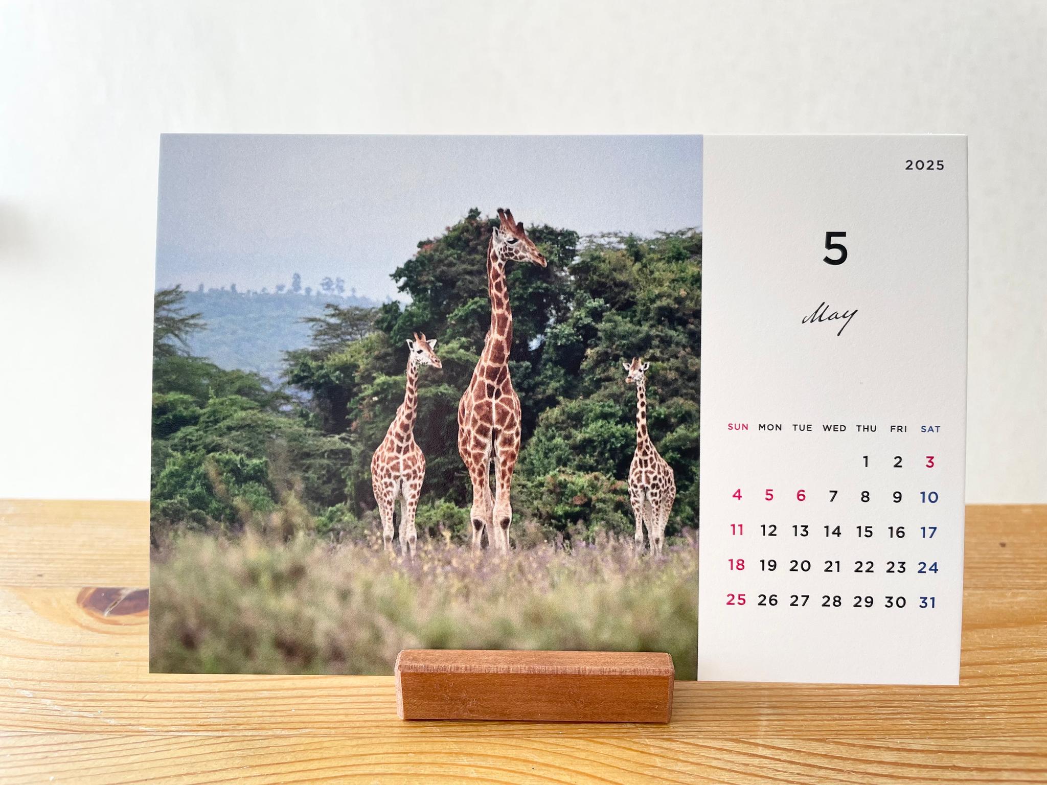 ケニアの卓上カレンダー、ケニアの景色と動物カレンダー、ケニアのアニマルカレンダー、ケニア、アフリカ | 8枚目