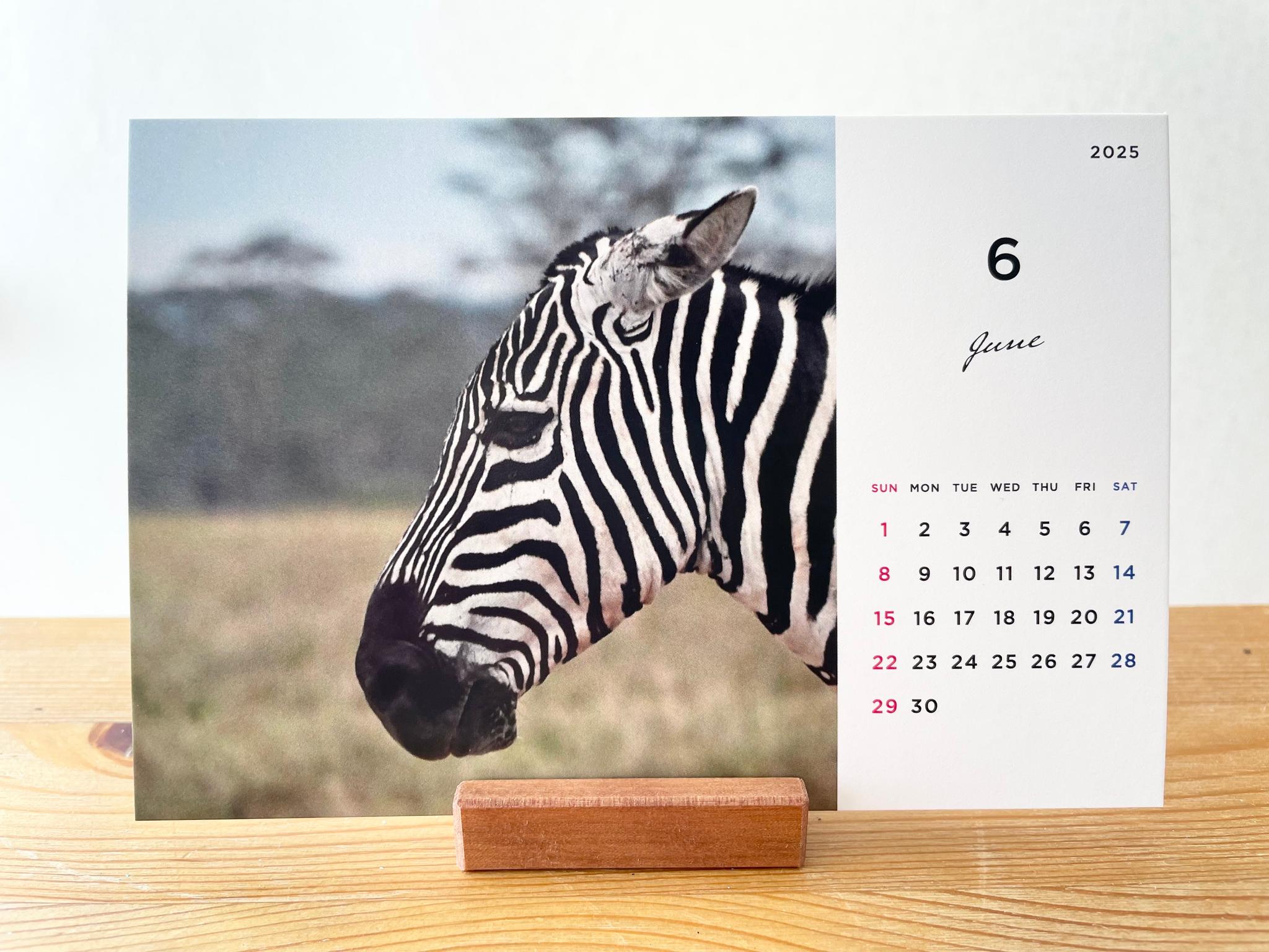 ケニアの卓上カレンダー、ケニアの景色と動物カレンダー、ケニアのアニマルカレンダー、ケニア、アフリカ | 9枚目