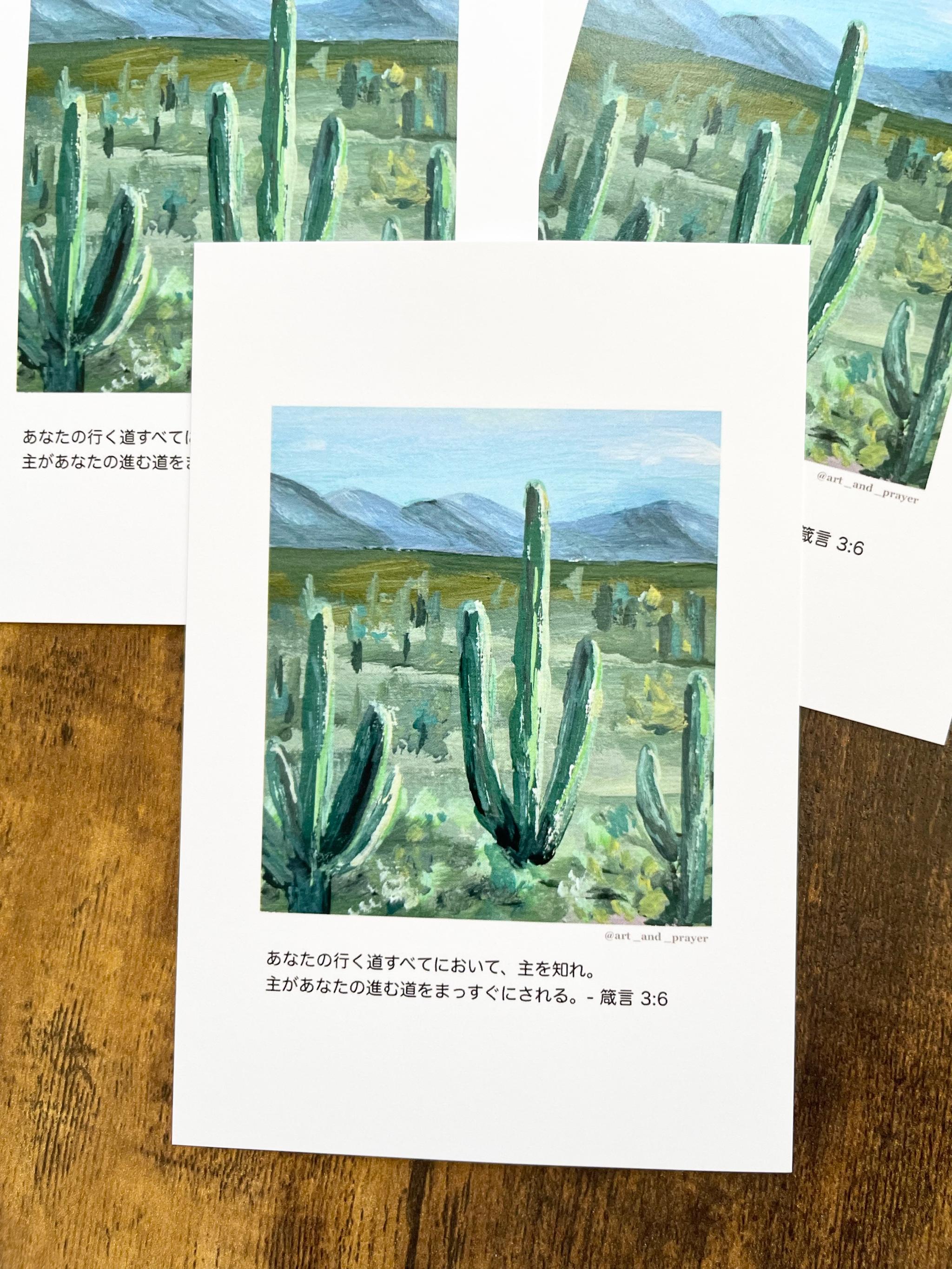 聖書箇所ポストカード, 箴言3:6, 聖書, サボテンの絵, みことばカード, イエスキリスト1枚目の画像