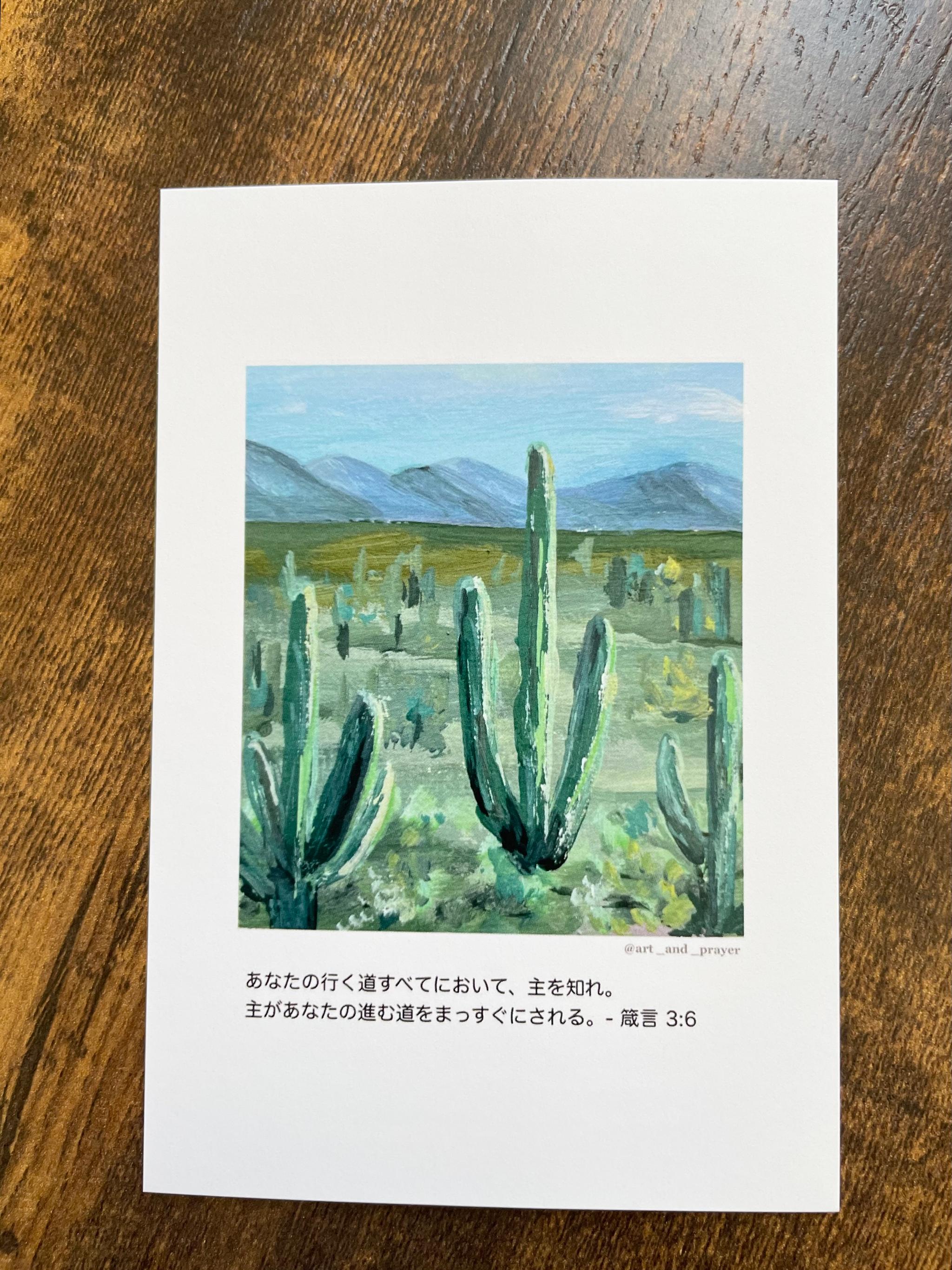 聖書箇所ポストカード, 箴言3:6, 聖書, サボテンの絵, みことばカード, イエスキリスト | 2枚目