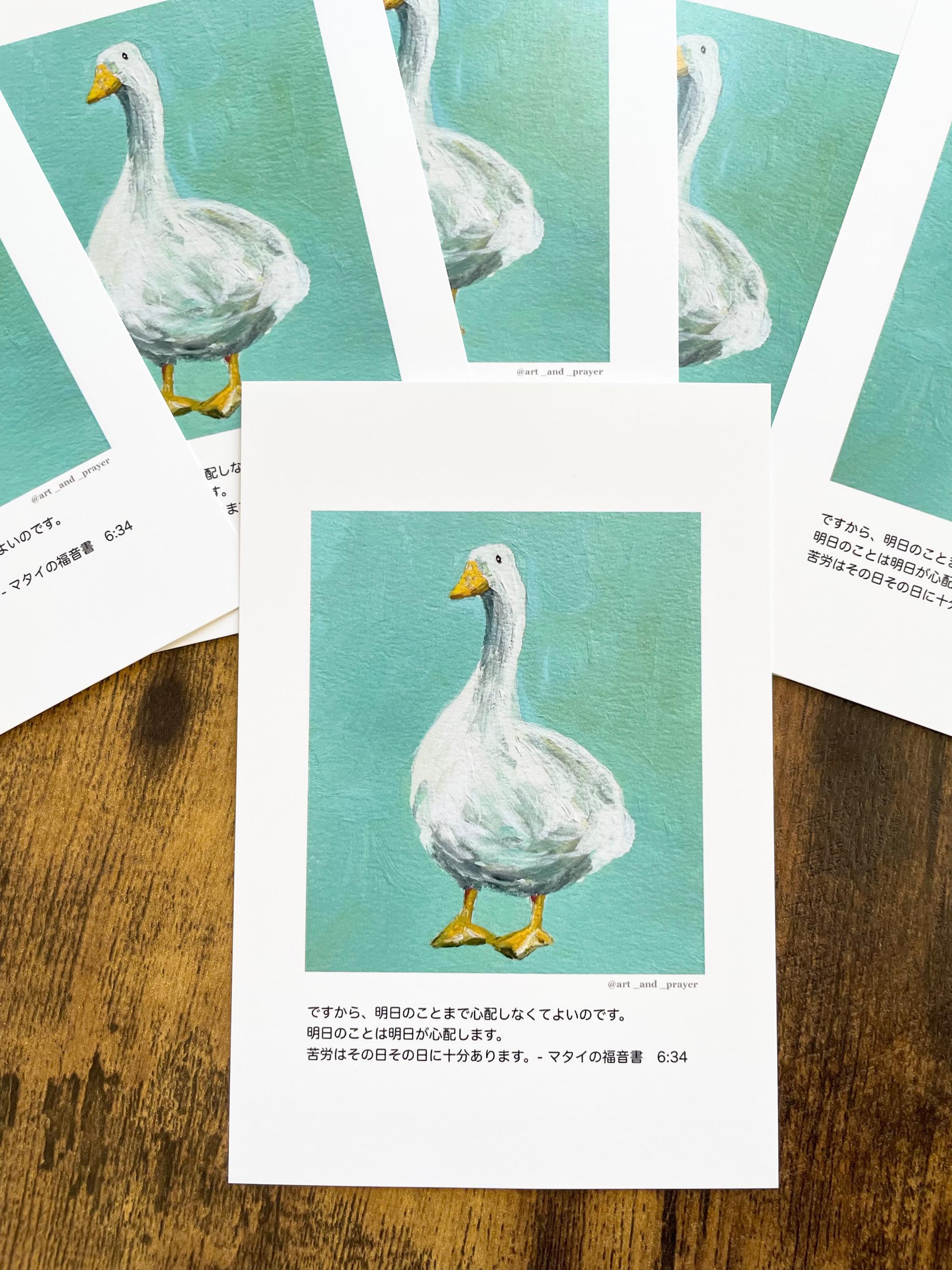 聖書箇所ポストカード, マタイの福音書6:34 , 聖書,あひるの絵, みことばカード, イエスキリスト、アヒル1枚目の画像
