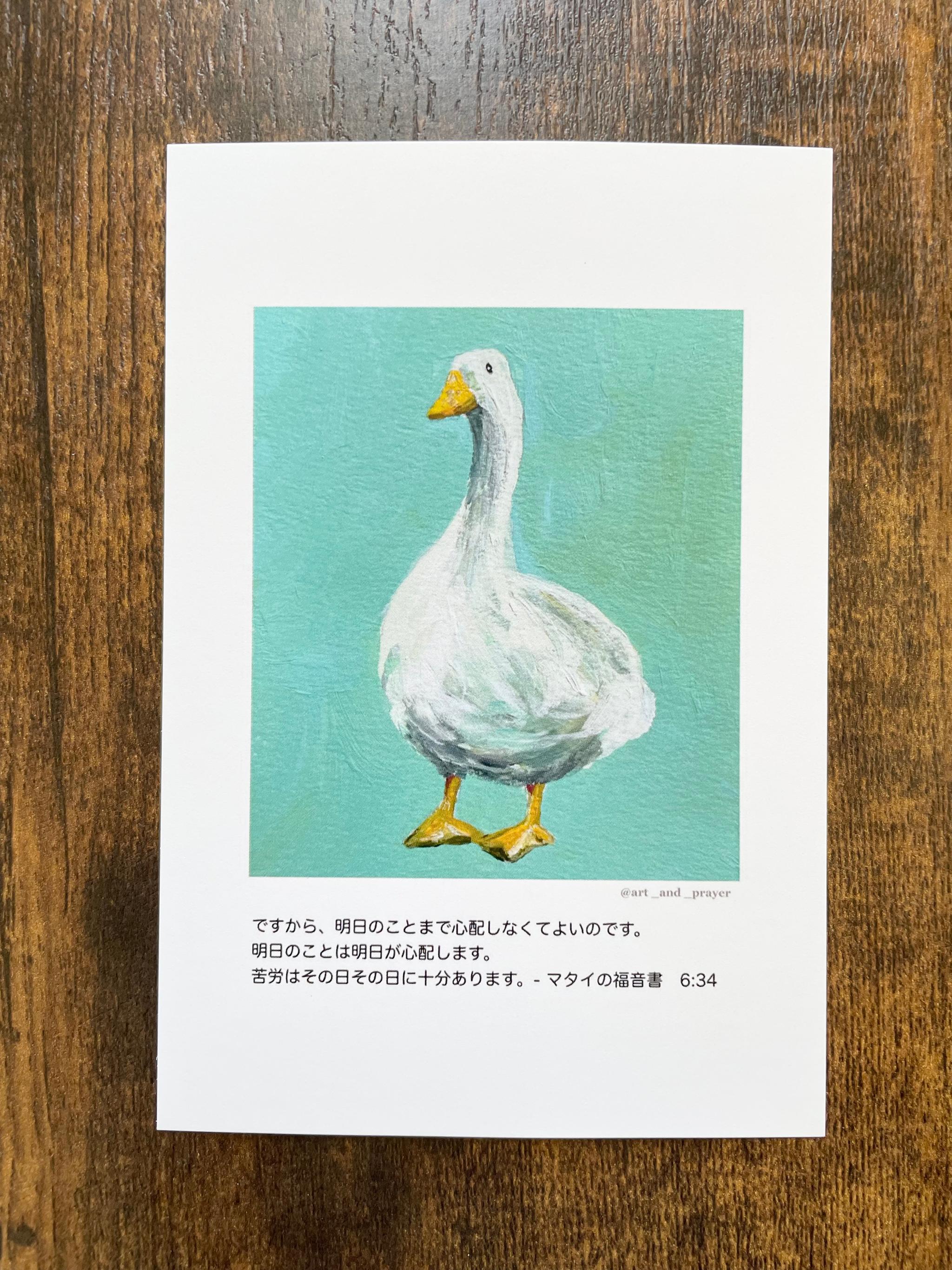 聖書箇所ポストカード, マタイの福音書6:34 , 聖書,あひるの絵, みことばカード, イエスキリスト、アヒル | 2枚目